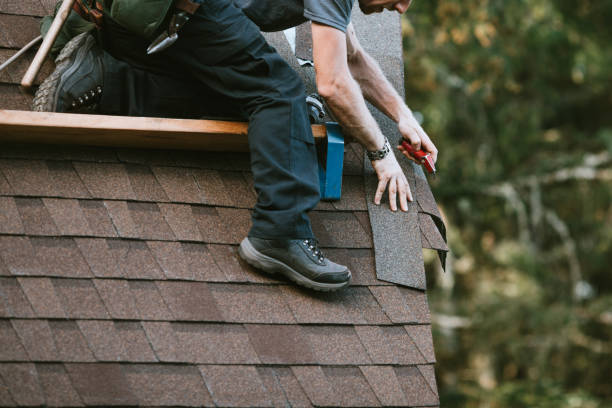 Best Roof Gutter Cleaning  in Arcadia, LA